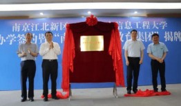 文峰集团爆料事件始末最新消息,最新进展与幕后真相揭秘