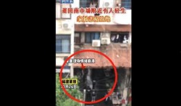 莆田跳楼最新爆料,最新爆料揭露惊人内幕”